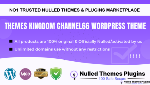 Themes Kingdom Channel66 WordPress Theme