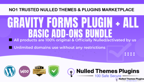 Gravity Forms Plugin + All Basic Add-Ons Bundle