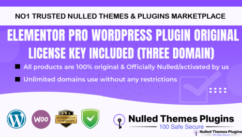 Elementor Pro WordPress Plugin Original License key Included (three domain)