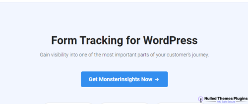 MonsterInsights Forms Addon 1